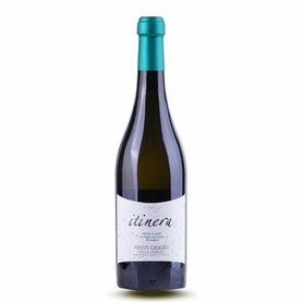 Itinera Pinot Grigio DOP 2021 Venezie